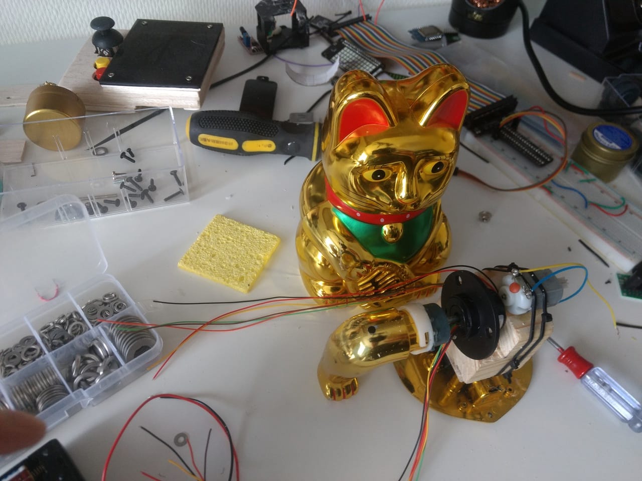 Cat has out of body experience.